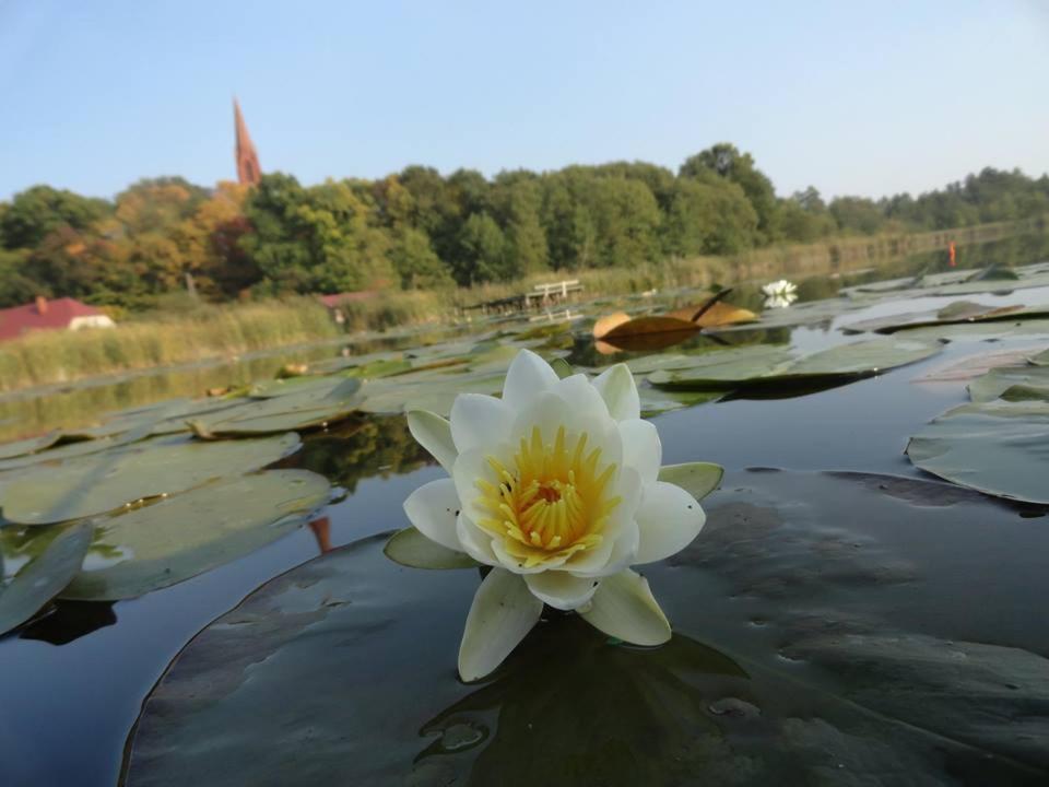 Agroturystyka Chycina Екстериор снимка